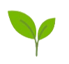 Two green leaves on black background.